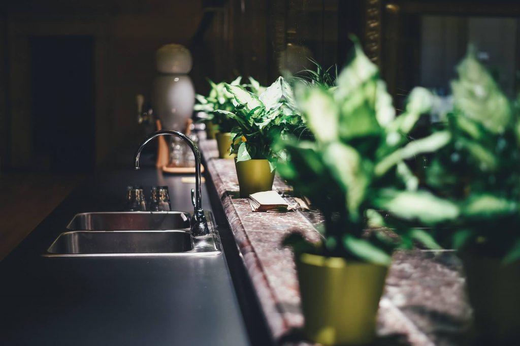 Planten in huis kunnen de boel levendiger maken