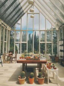 glaswand-tuinkamer